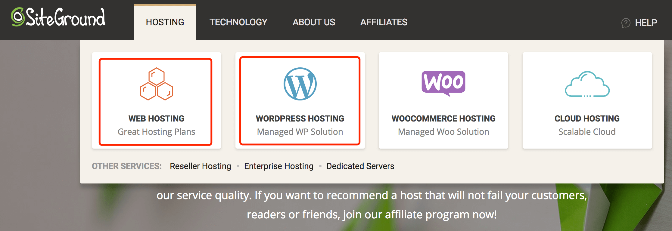 SiteGround的Web Hosting和WordPress Hosting怎么选？有什么区别？